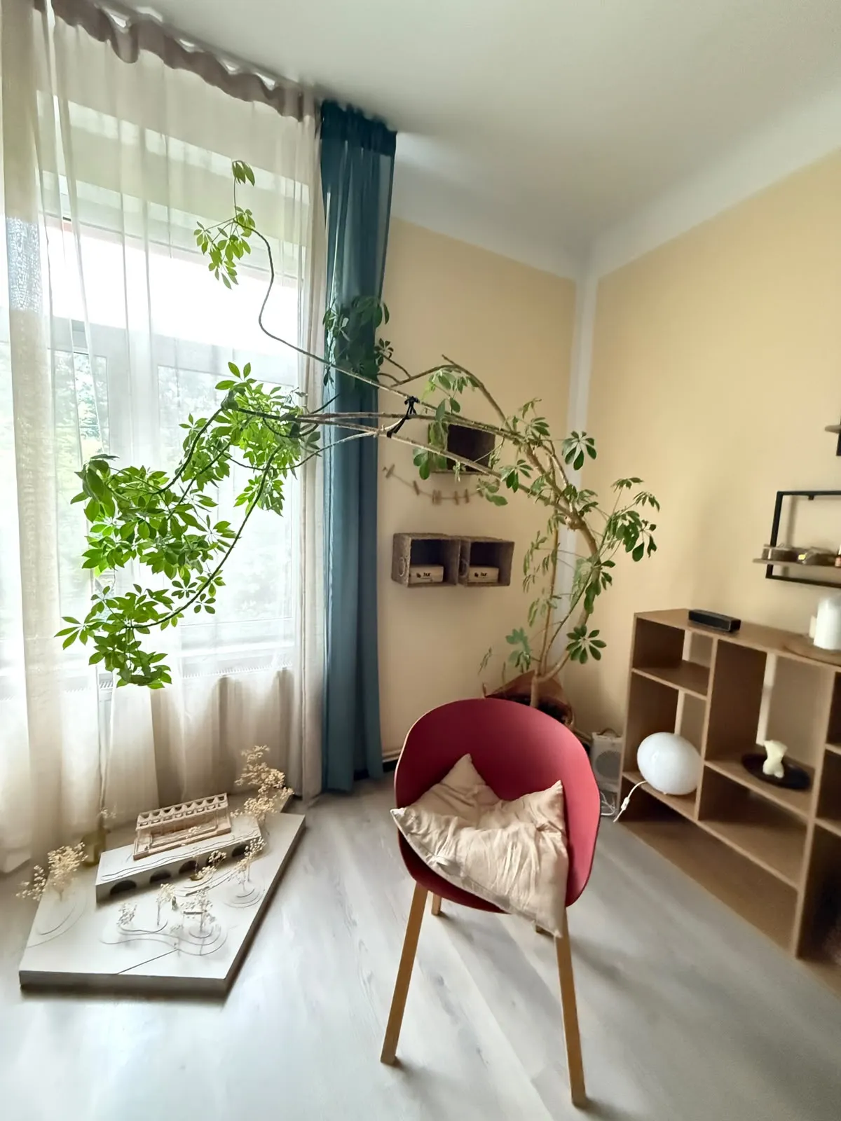 Atmosferă caldă canapea catifea cabinet psihologie Timisoara